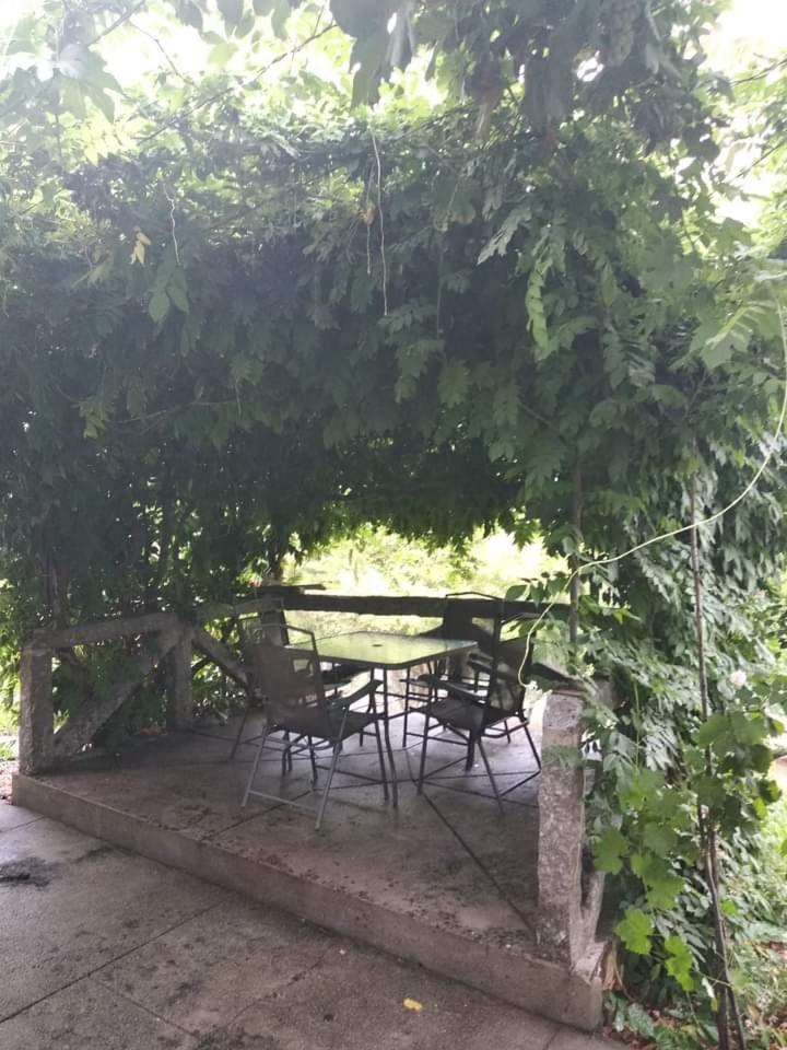 Casa Da Vovo Villa Amarante Rom bilde